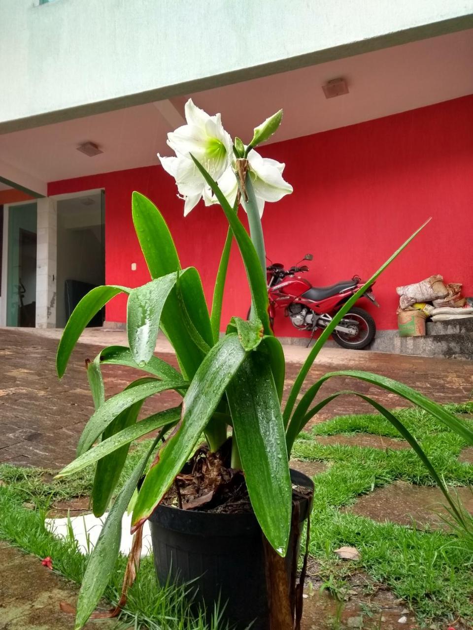 Casa Verde เบโลโอรีซอนชี ภายนอก รูปภาพ